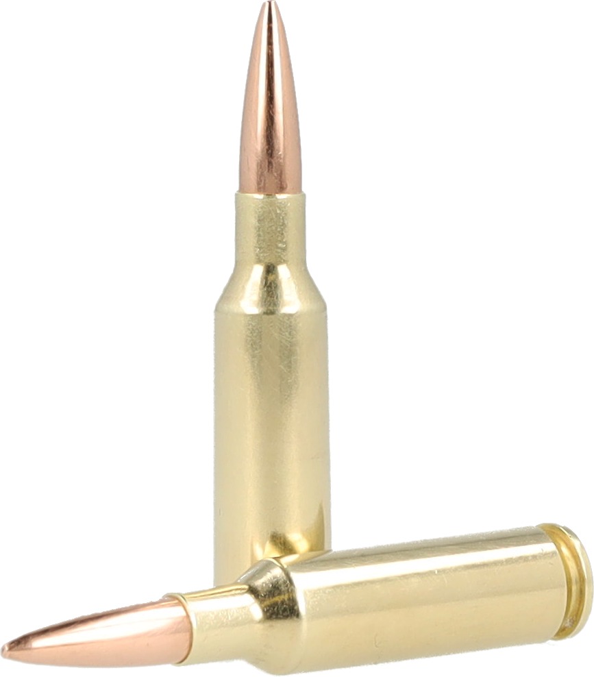 REMINGTON PREMIER MATCH 224VAL 90RD MATCH BTHP 20/10