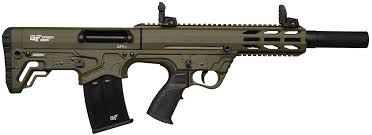 Gforce Arms GFY1 12/18.5 ODG/BLK 5+1