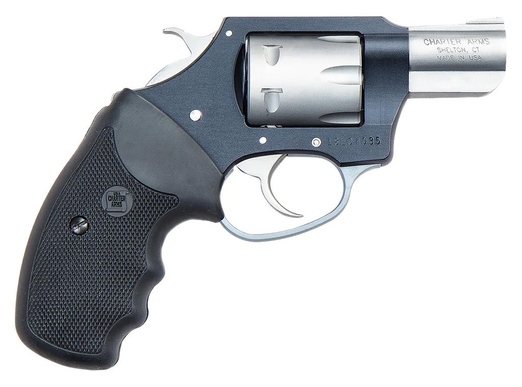 Charter Arms PATHFINDER LITE 22MAG BLACK/SS