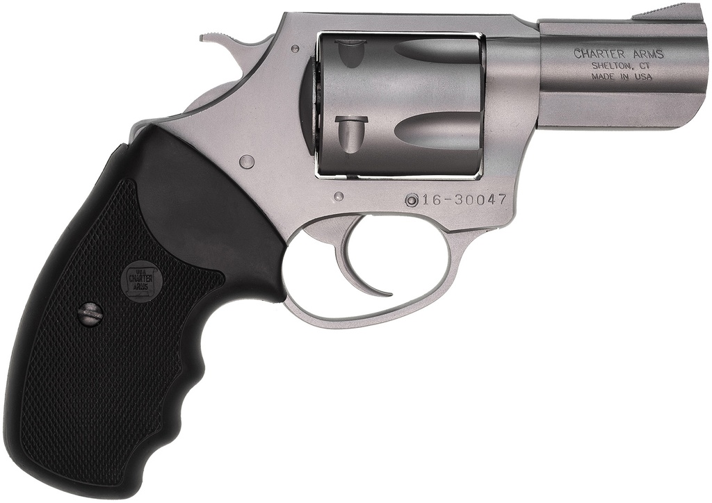 Charter Arms Pitbull