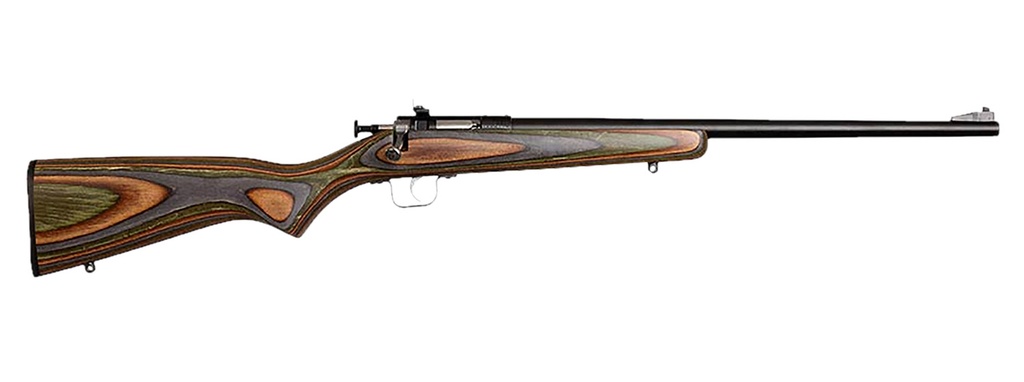 Chipmunk 00005 Gen2  22 LR 1rd 16.10" Blued Tapered Single Shot Barrel, Fixed Camo Laminate Stock