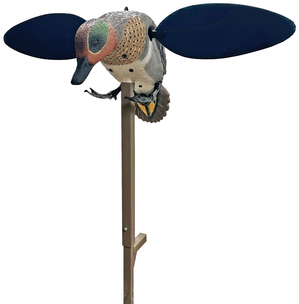 Mojo Outdoors HW2555  Green Winged Teal Teal Species