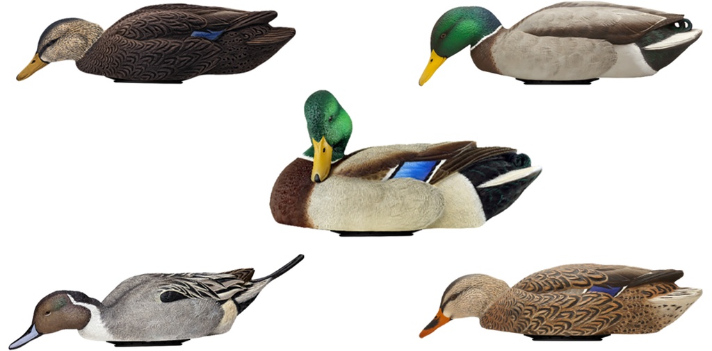 Avian X AVX-PSW-MDLH Power Swimmer  Mallards Multi-Color