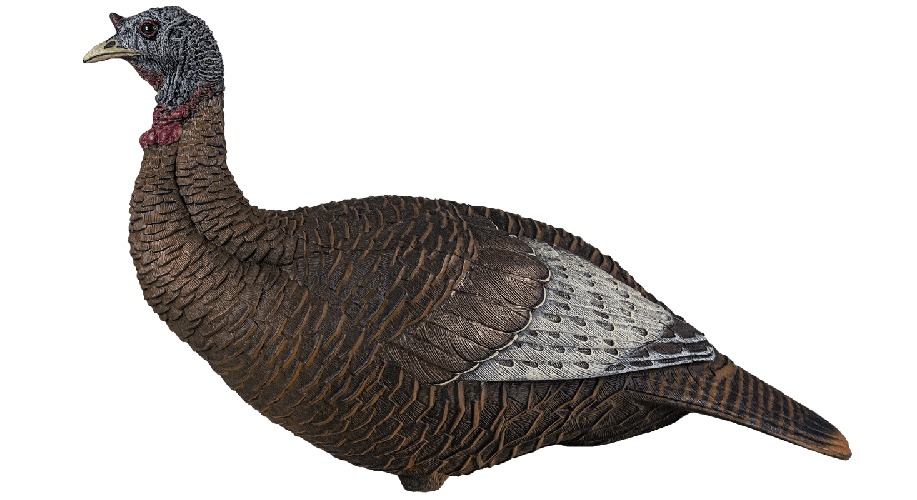 AVIAN X (GSM) FLEXTONE FLX-FLXDY315 THUNDER CHICK UPRIGHT