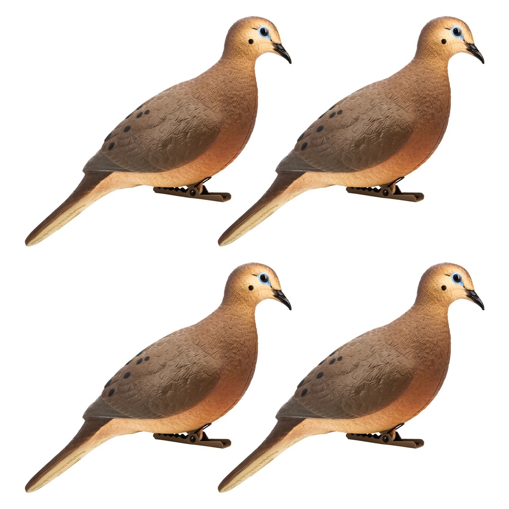 AVIAN X (GSM) ZINK ZNK-DOVE-4PK FULL BODY DOVE 4PK