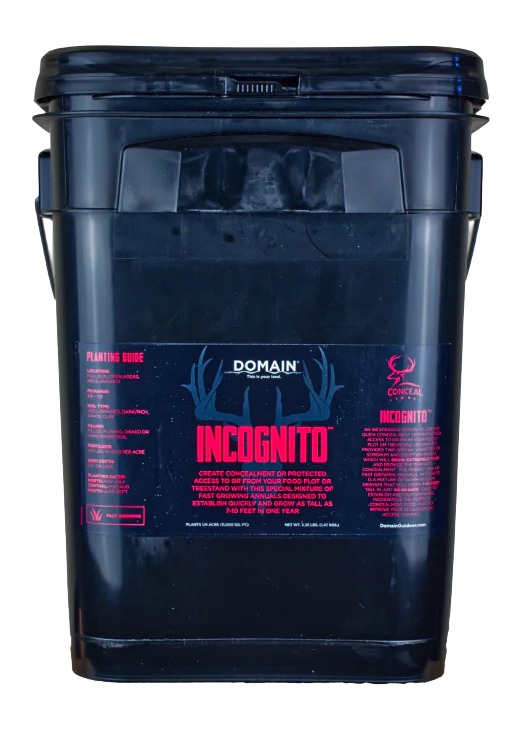 ALLEN/DOMAIN OUTDOOR DOMAIN INCFP325    INCOGNITO