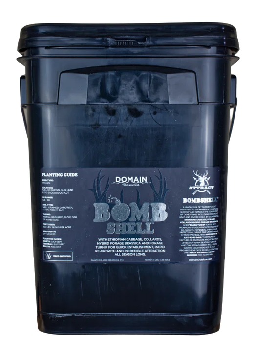 ALLEN/DOMAIN OUTDOOR DOMAIN BMSFP3      BOMBSHELL
