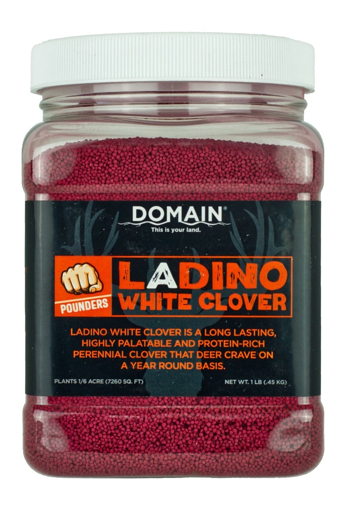 ALLEN/DOMAIN OUTDOOR DOMAIN DLWCS1LB    LADINO WHITE CLOVER