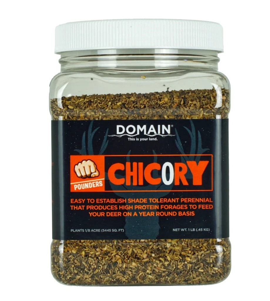 ALLEN/DOMAIN OUTDOOR DOMAIN DCS1LB      POUNDER - CHICORY