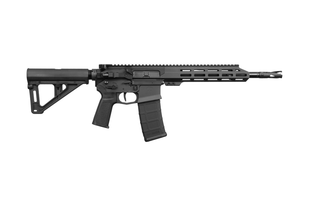 US PALM STORM CAT4 5.56 BLACK 30+1 11.5"