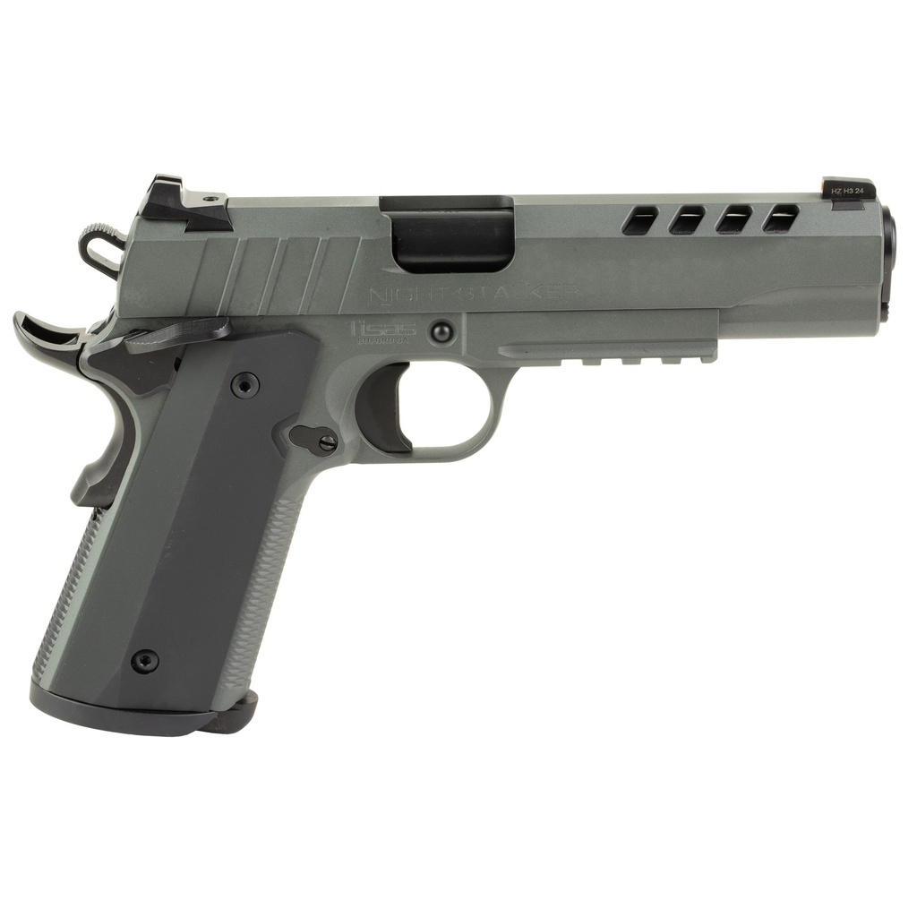 Tisas 1911 NIGHT STALKER GRAY 10MM  #